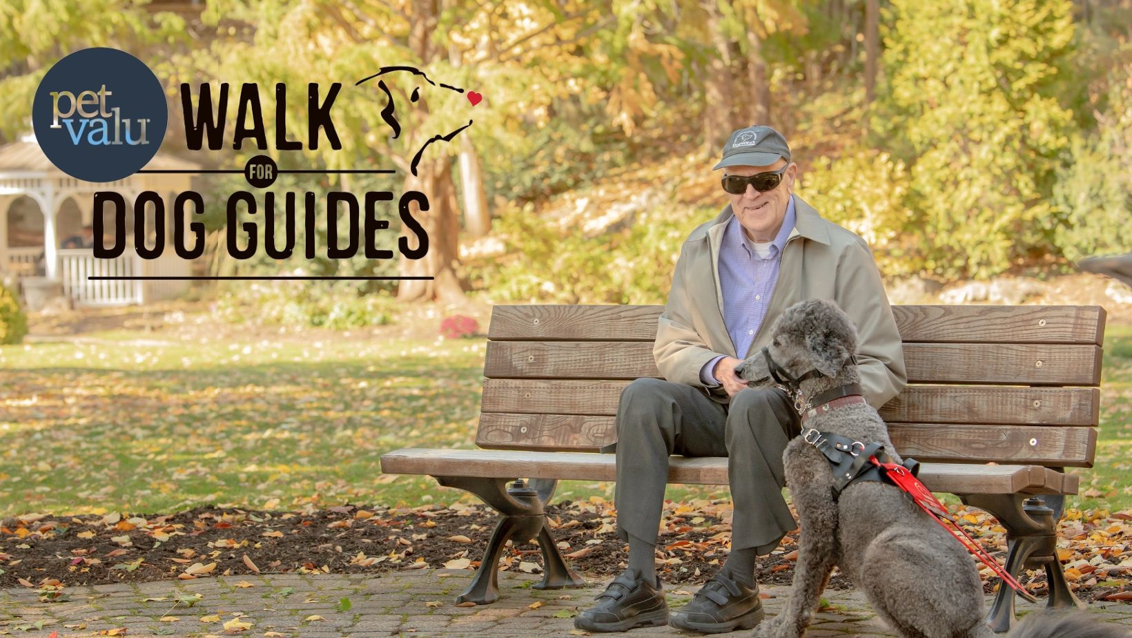 Pet Valu Walk for Dog Guides.jpg